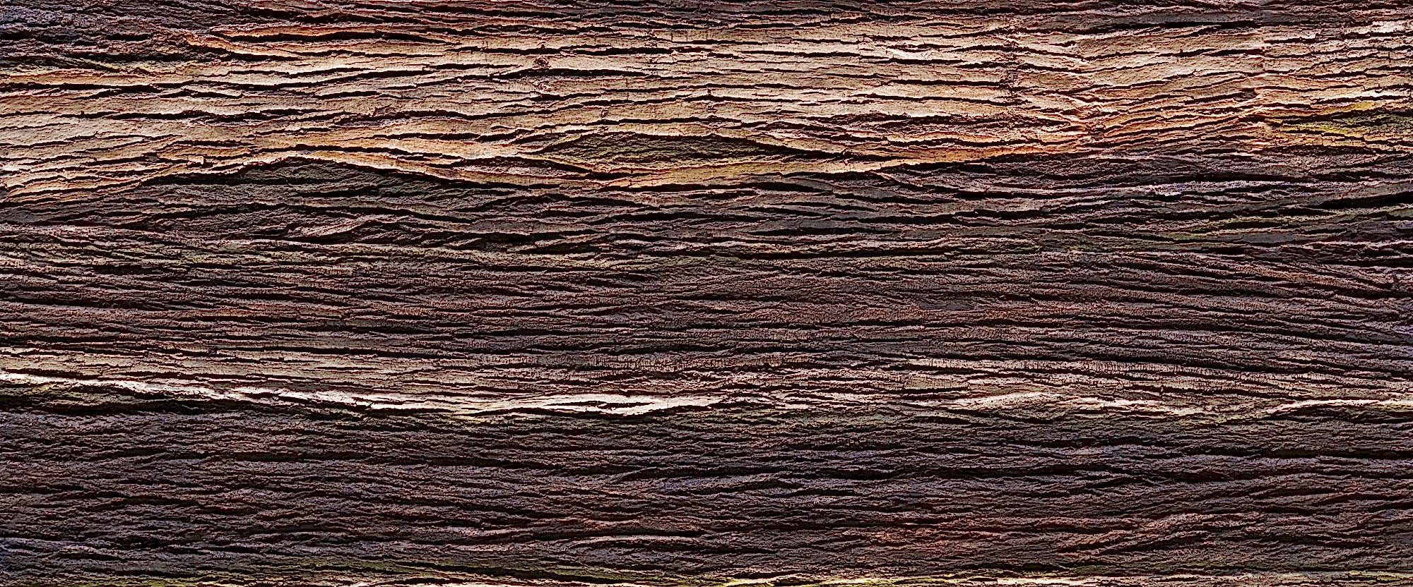 Amazon Wood Wall Panel - Panel Detail