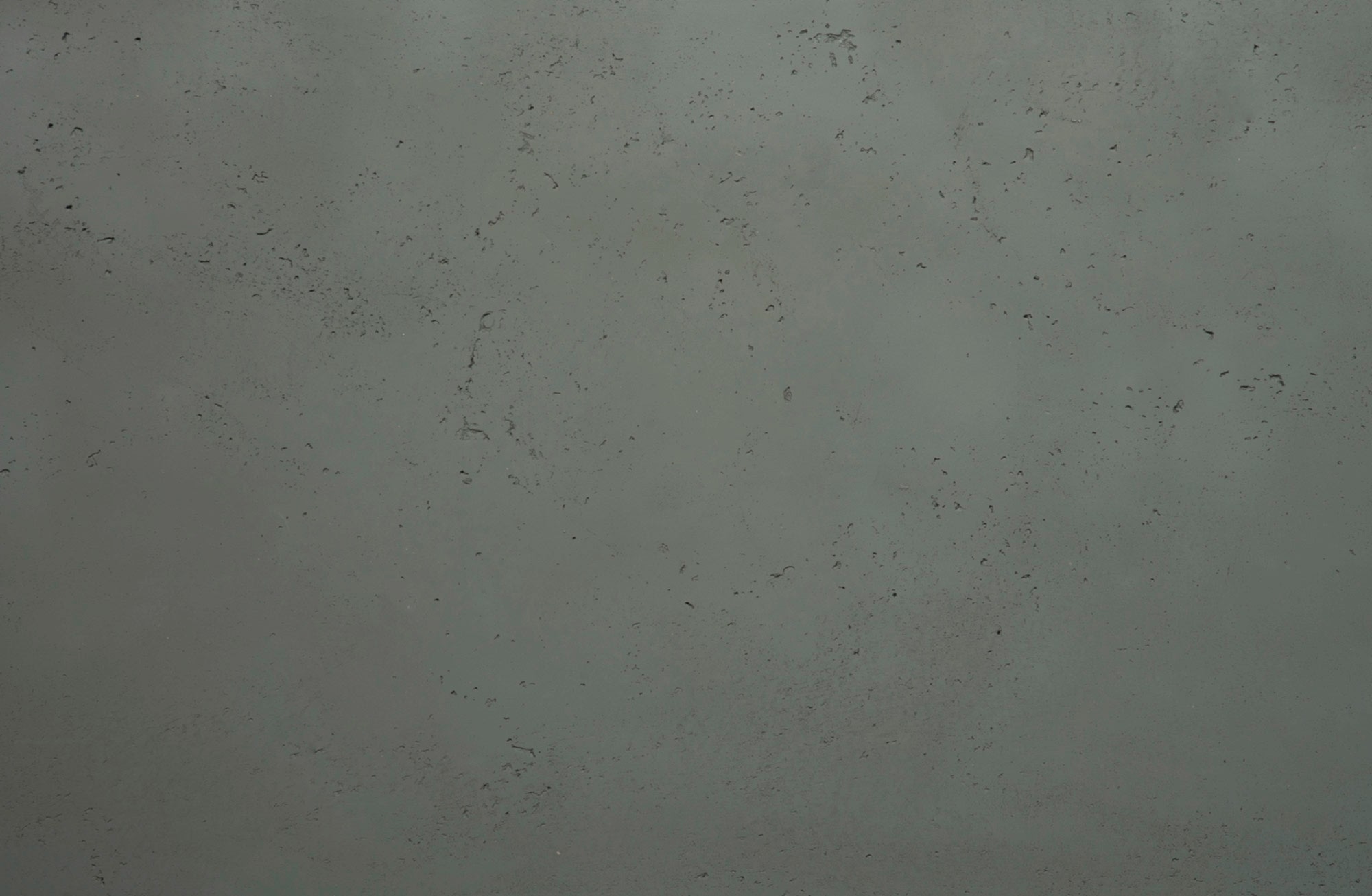 Phlox Wall Panel - Panel Detail