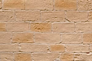 Picada Stone Wall Panel